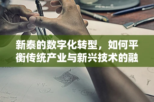 新泰的数字化转型，如何平衡传统产业与新兴技术的融合？