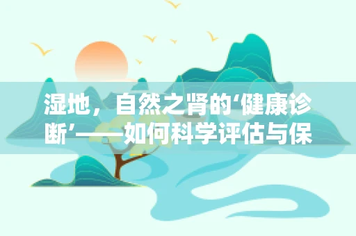 湿地，自然之肾的‘健康诊断’——如何科学评估与保护？