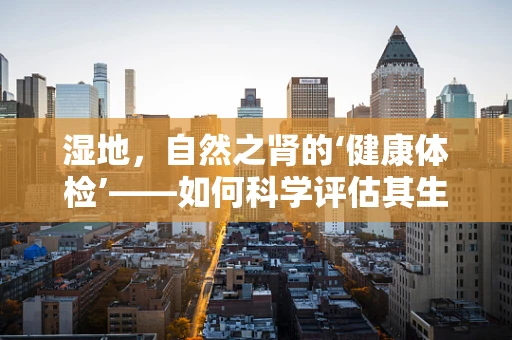 湿地，自然之肾的‘健康体检’——如何科学评估其生态价值与保护需求？