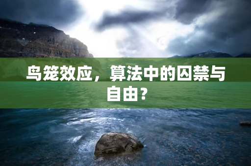 鸟笼效应，算法中的囚禁与自由？