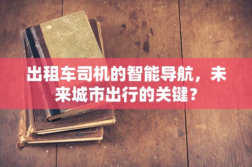 出租车司机的智能导航，未来城市出行的关键？