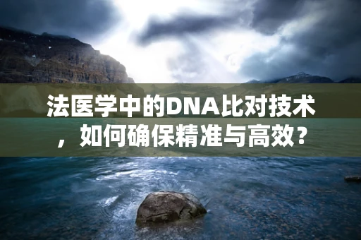 法医学中的DNA比对技术，如何确保精准与高效？