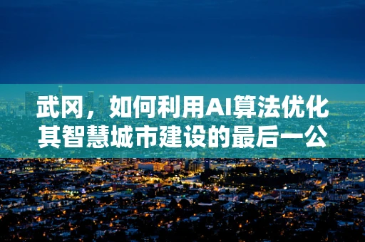 武冈，如何利用AI算法优化其智慧城市建设的最后一公里？