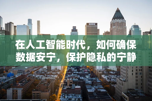 在人工智能时代，如何确保数据安宁，保护隐私的宁静？