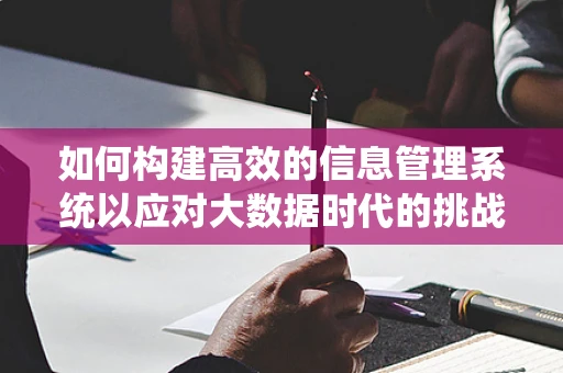 如何构建高效的信息管理系统以应对大数据时代的挑战？