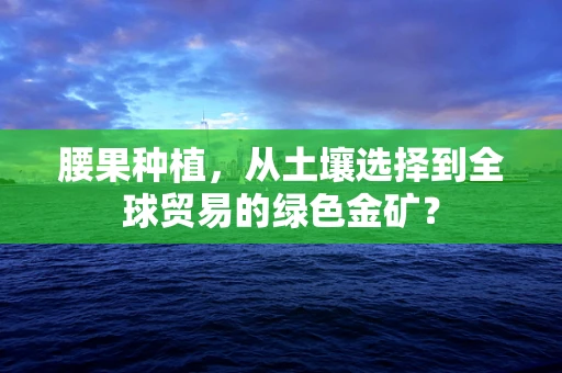 腰果种植，从土壤选择到全球贸易的绿色金矿？