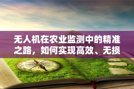 无人机在农业监测中的精准之路，如何实现高效、无损的作物监测？