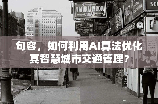 句容，如何利用AI算法优化其智慧城市交通管理？