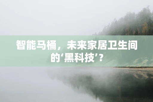 智能马桶，未来家居卫生间的‘黑科技’？