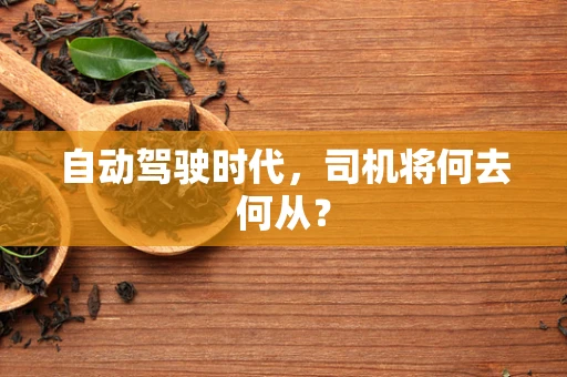 自动驾驶时代，司机将何去何从？