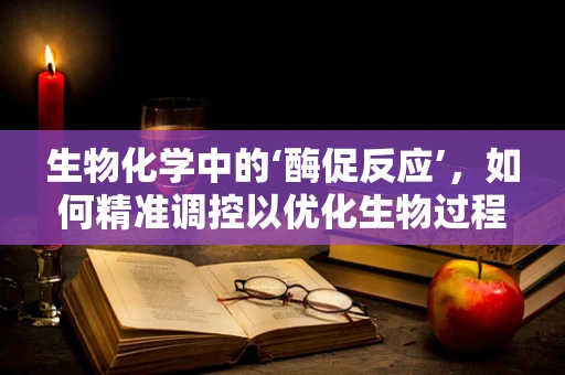 生物化学中的‘酶促反应’，如何精准调控以优化生物过程？