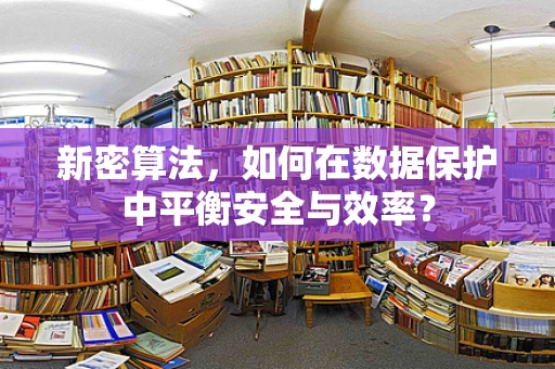 新密算法，如何在数据保护中平衡安全与效率？