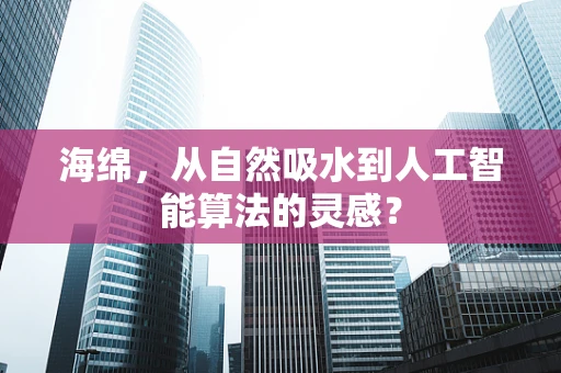 海绵，从自然吸水到人工智能算法的灵感？