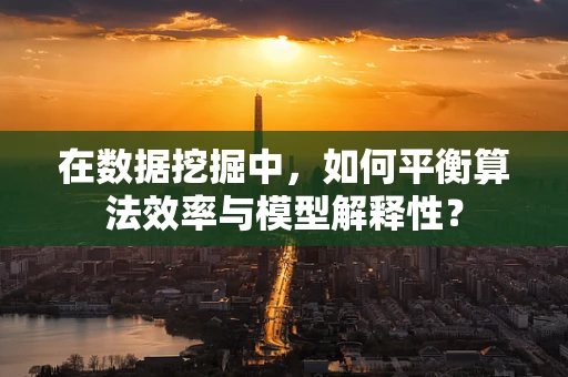 在数据挖掘中，如何平衡算法效率与模型解释性？