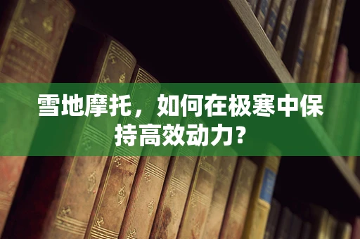 雪地摩托，如何在极寒中保持高效动力？